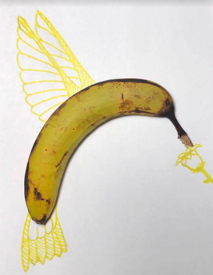banana bird 